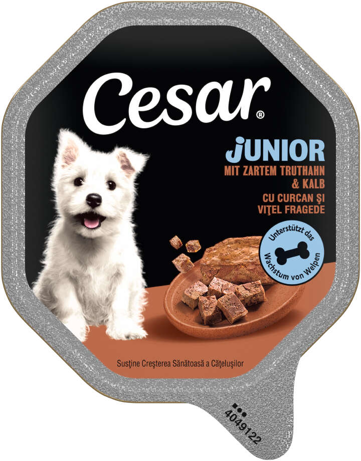 Cesar Hunde-Nassfutter Junior Truthahn & Kalb in Pastete